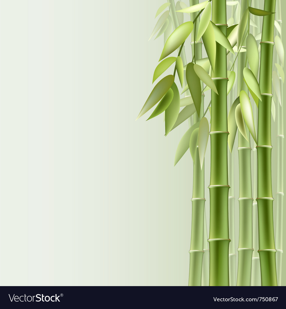 Detail Background Bambu Vector Nomer 23
