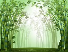 Detail Background Bambu Vector Nomer 24
