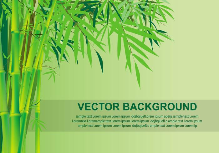 Detail Background Bambu Vector Nomer 27