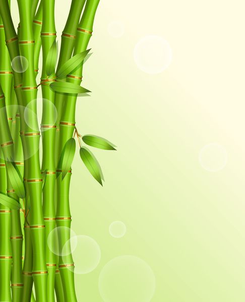 Detail Background Bambu Vector Nomer 28