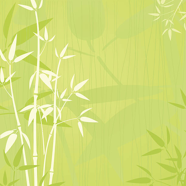 Detail Background Bambu Vector Nomer 33