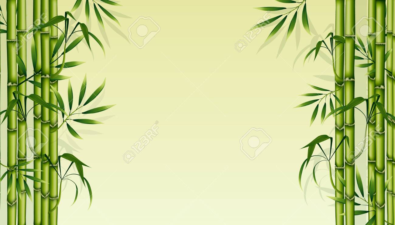 Detail Background Bambu Vector Nomer 34