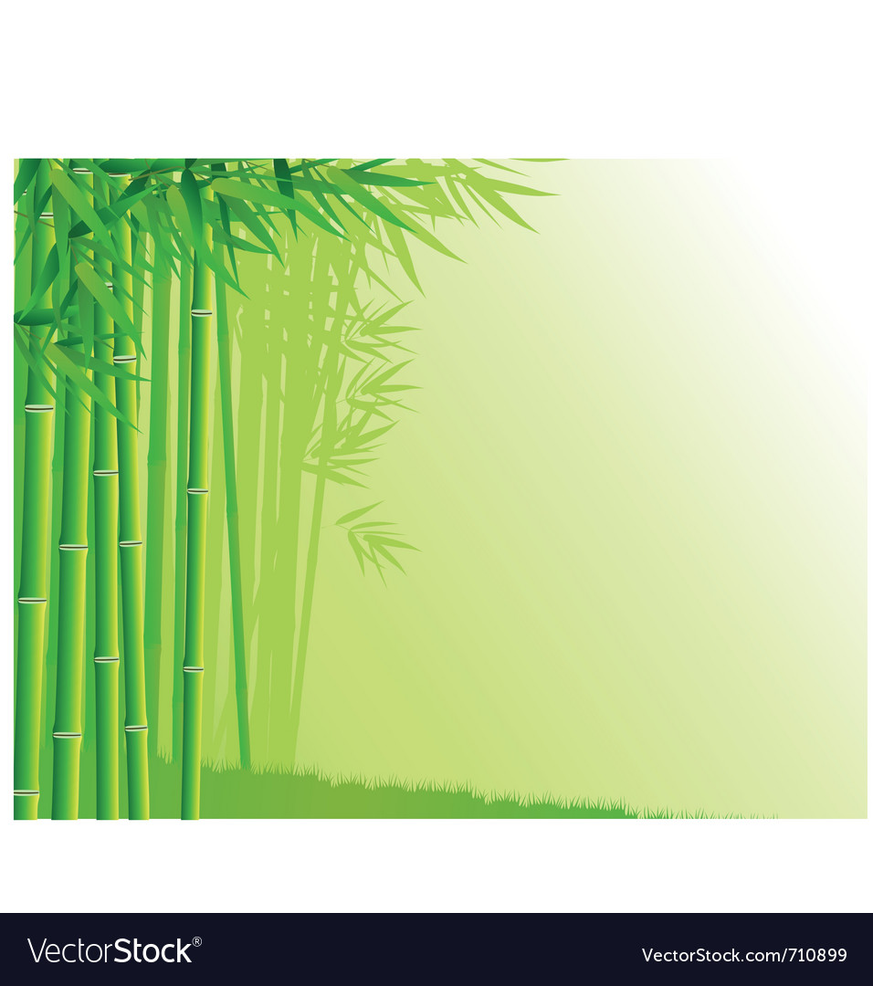 Detail Background Bambu Vector Nomer 35