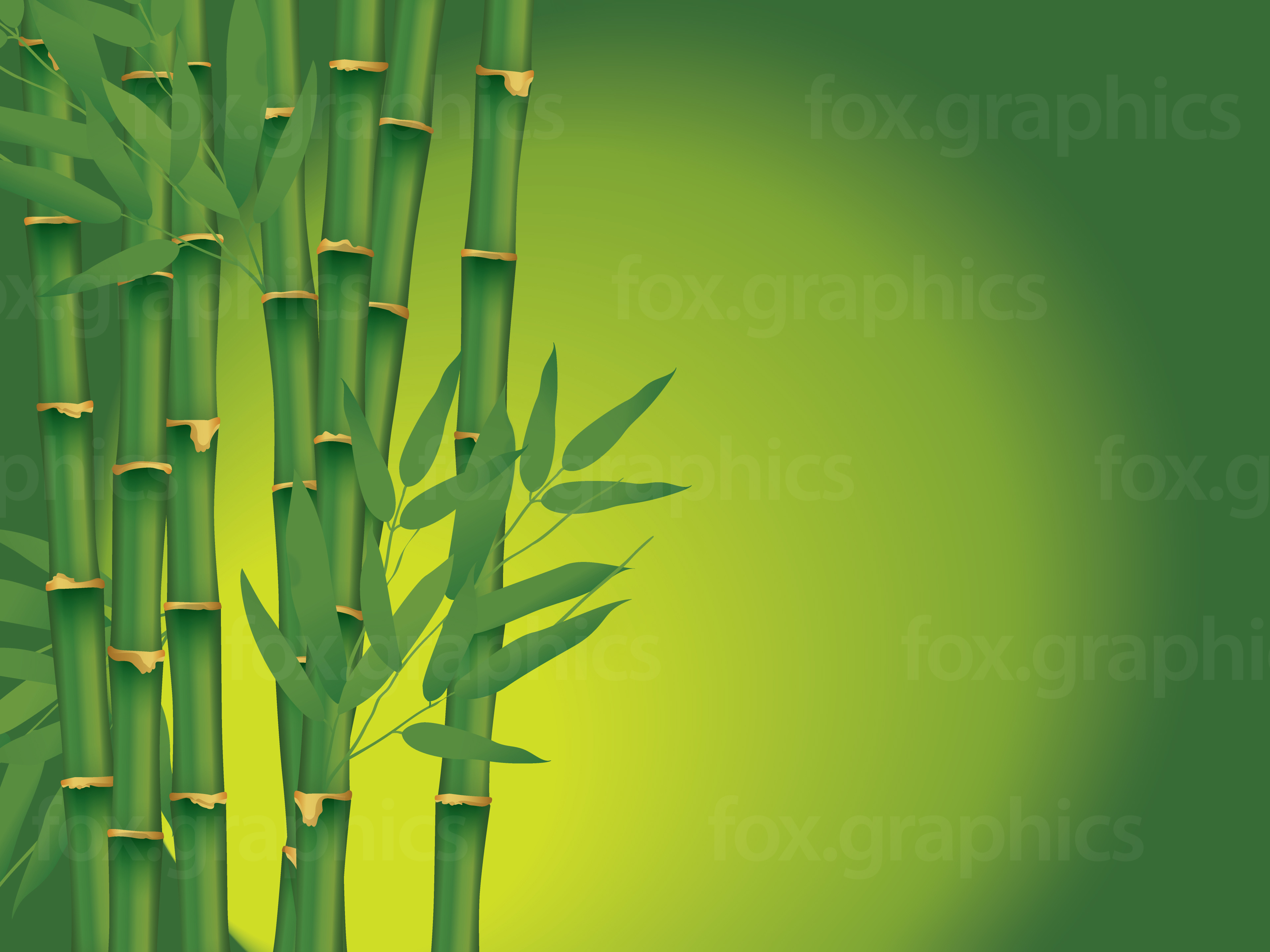Detail Background Bambu Vector Nomer 36