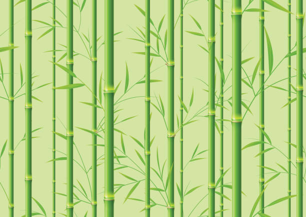 Detail Background Bambu Vector Nomer 5