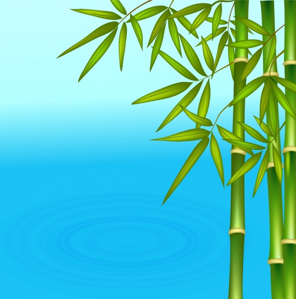 Detail Background Bambu Vector Nomer 40