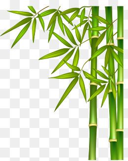Detail Background Bambu Vector Nomer 41