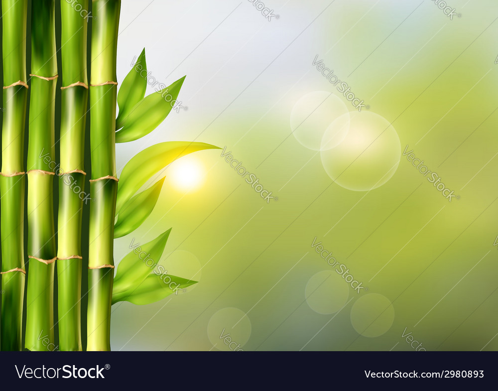 Detail Background Bambu Vector Nomer 42