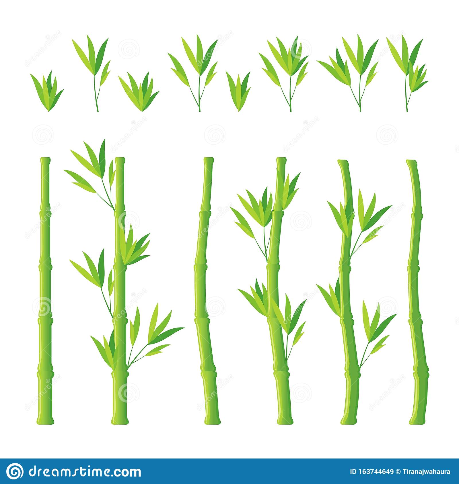 Detail Background Bambu Vector Nomer 43