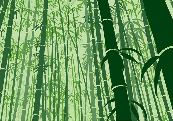 Detail Background Bambu Vector Nomer 44