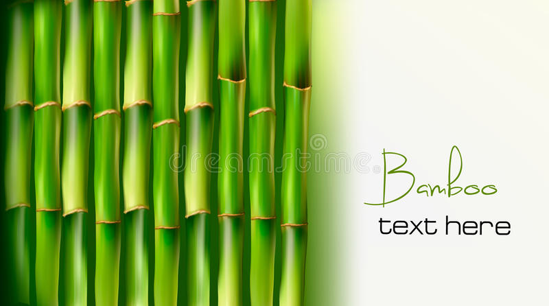 Background Bambu Vector - 58+ Koleksi Gambar