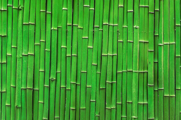 Detail Background Bambu Vector Nomer 51