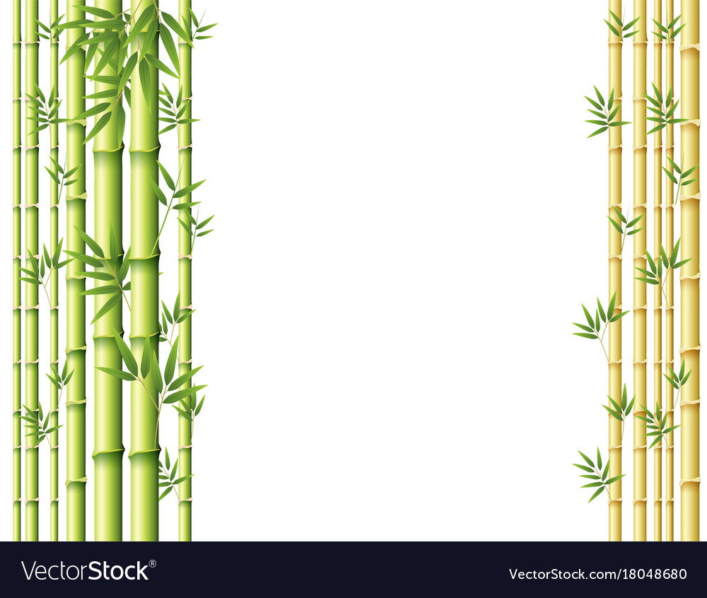 Detail Background Bambu Vector Nomer 54