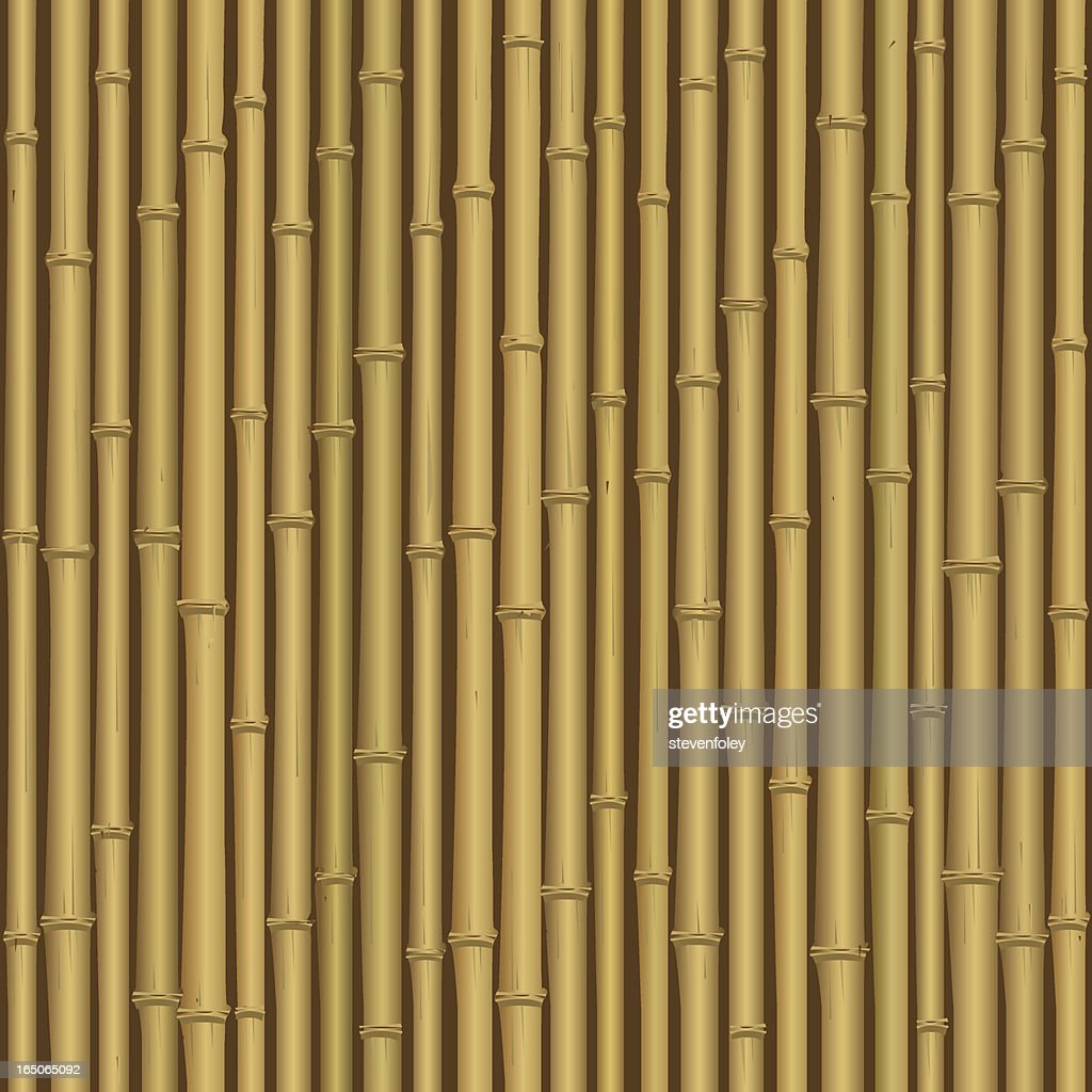 Detail Background Bambu Vector Nomer 56
