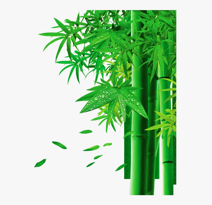 Detail Background Bambu Vector Nomer 57