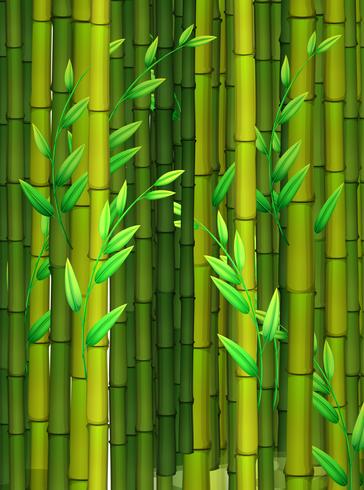 Detail Background Bambu Vector Nomer 9