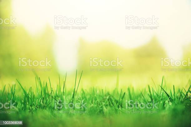 Detail Background Banner Alam Nomer 49
