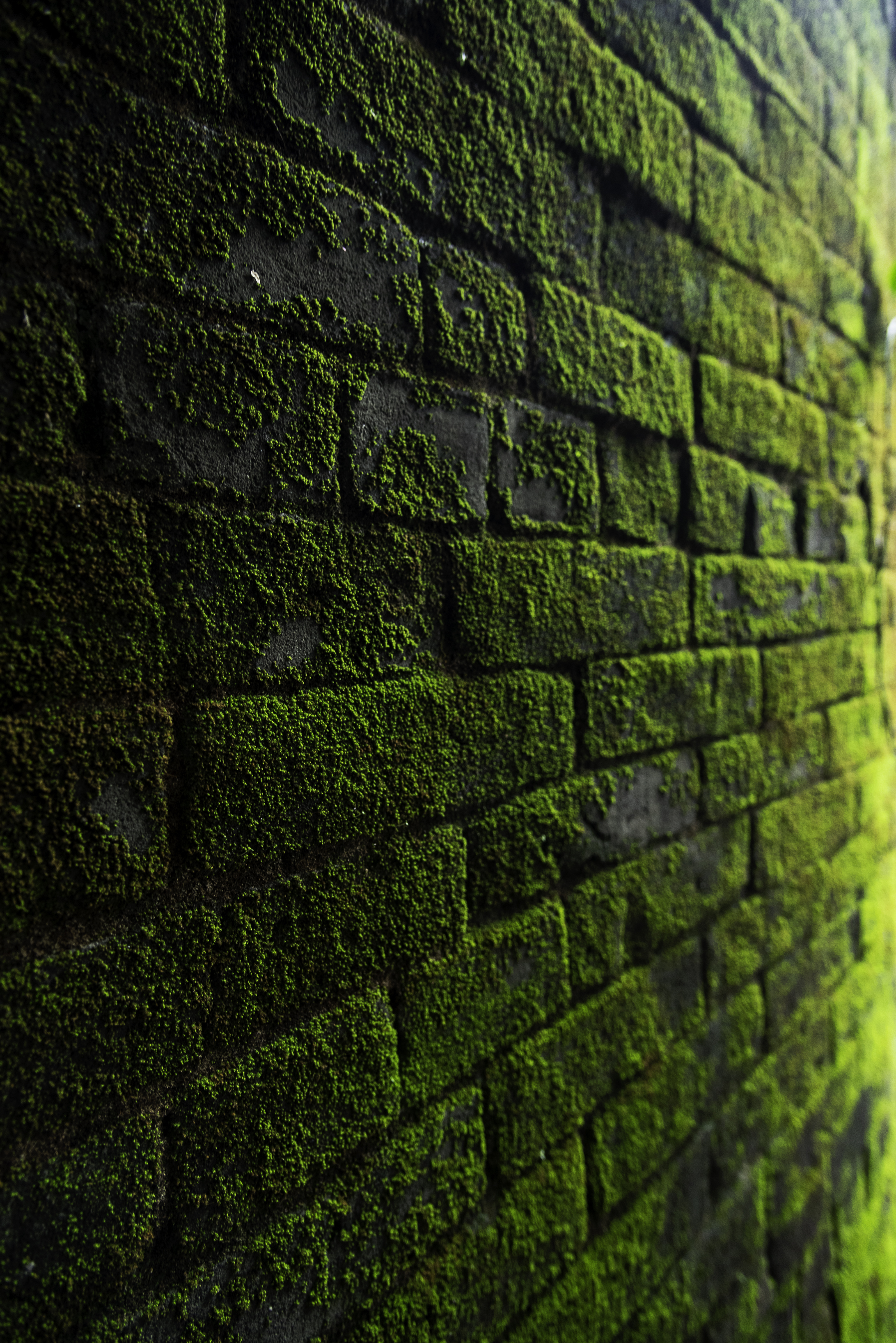 Detail Background Bata Hitam Nomer 23