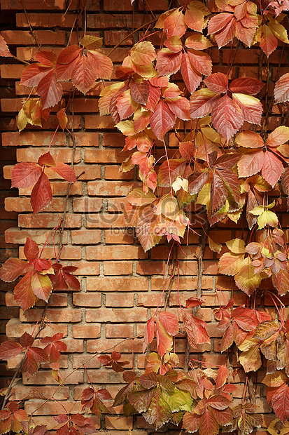 Detail Background Batu Bata Merah Nomer 21