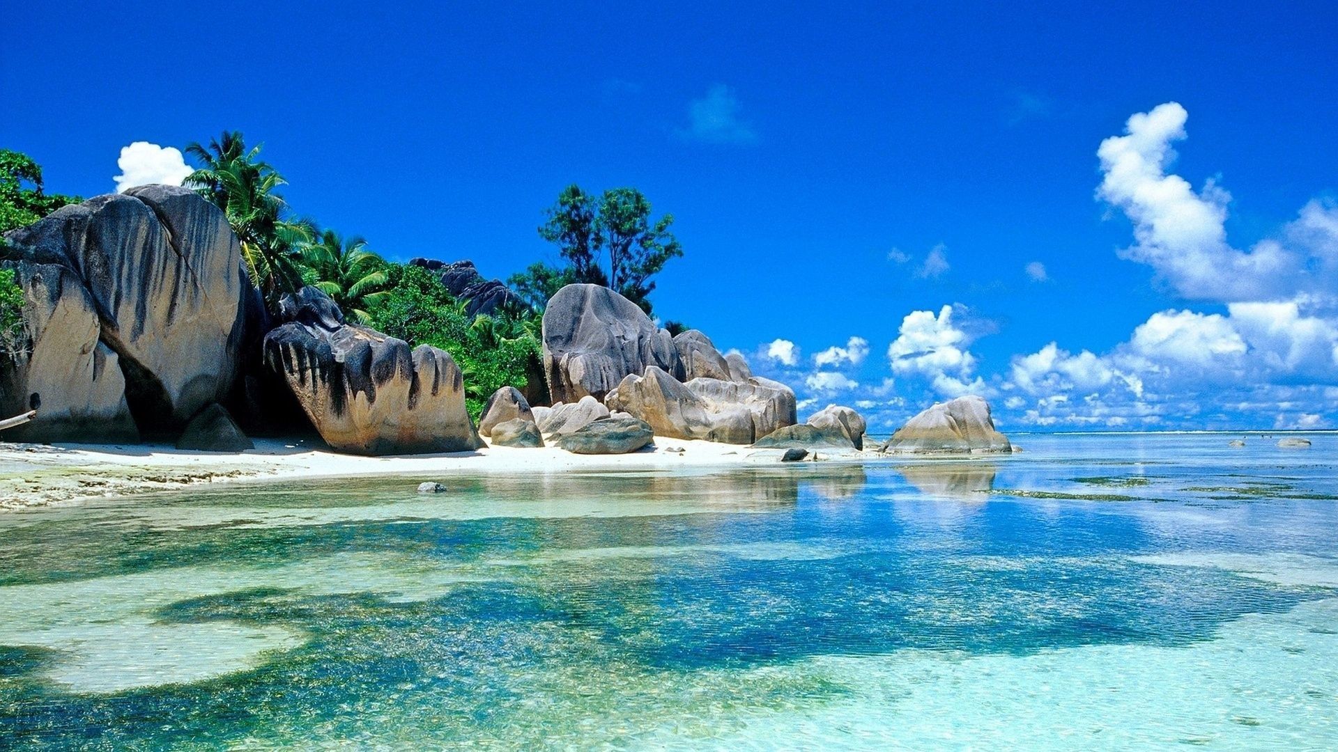 Detail Background Beach Hd Nomer 2