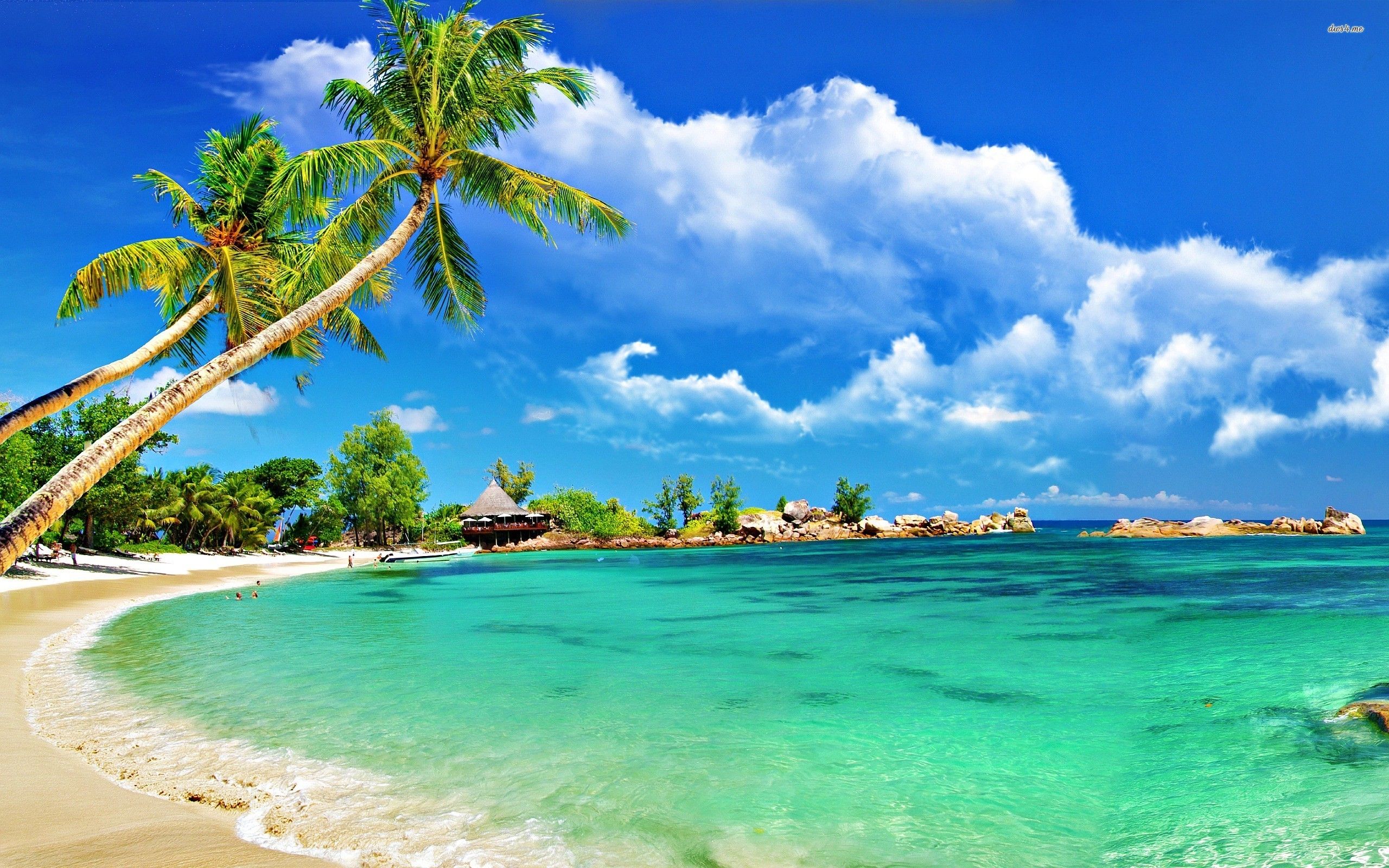 Detail Background Beach Hd Nomer 11