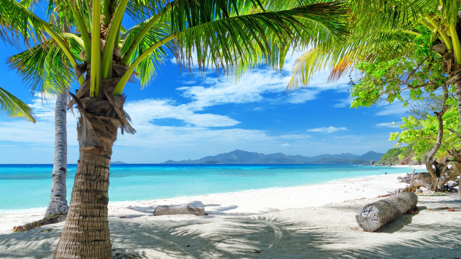 Detail Background Beach Hd Nomer 13