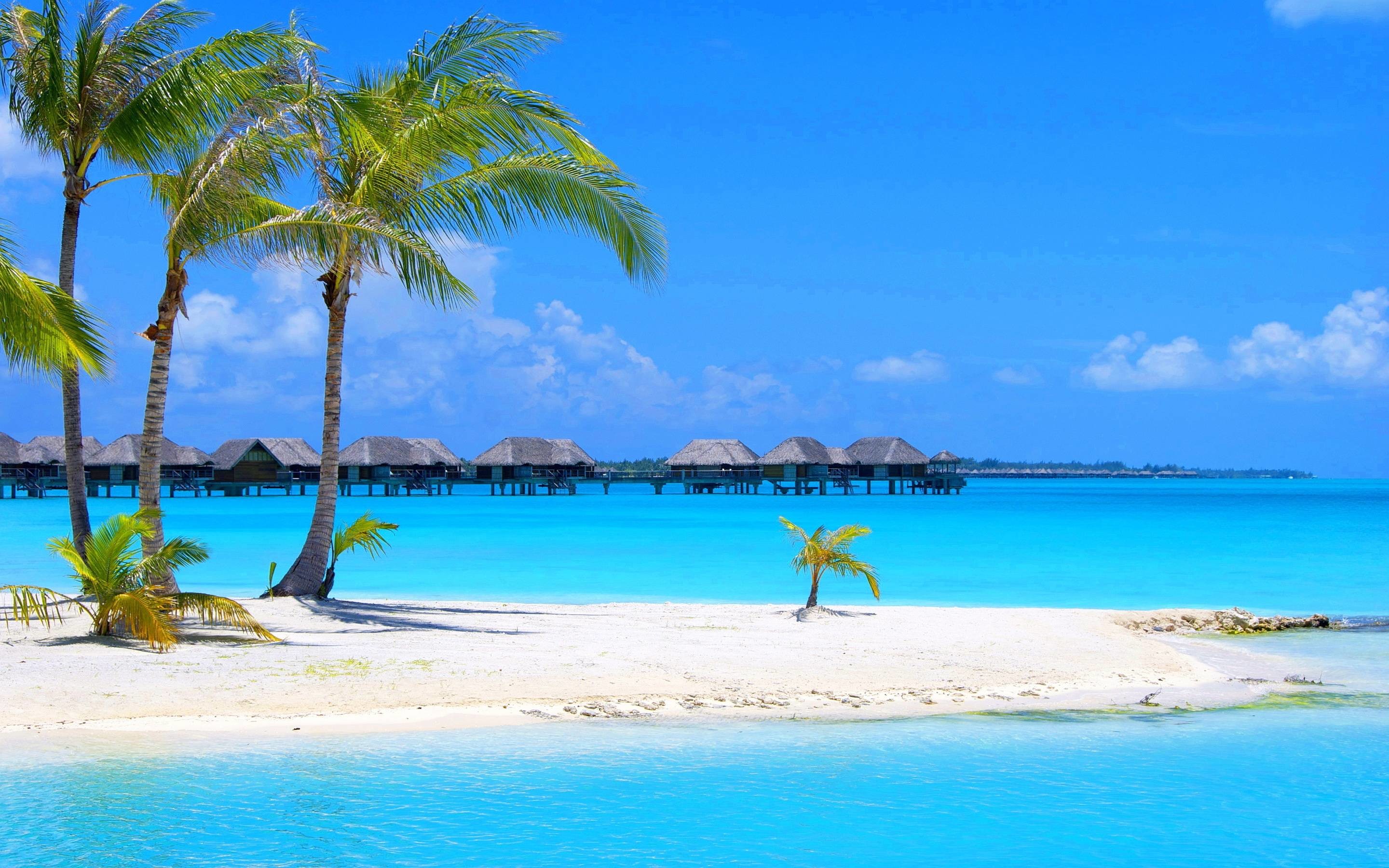 Detail Background Beach Hd Nomer 15