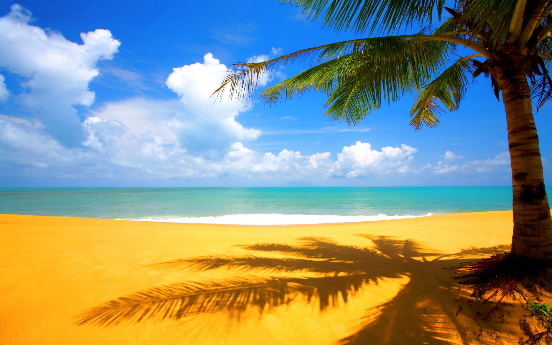 Detail Background Beach Hd Nomer 17
