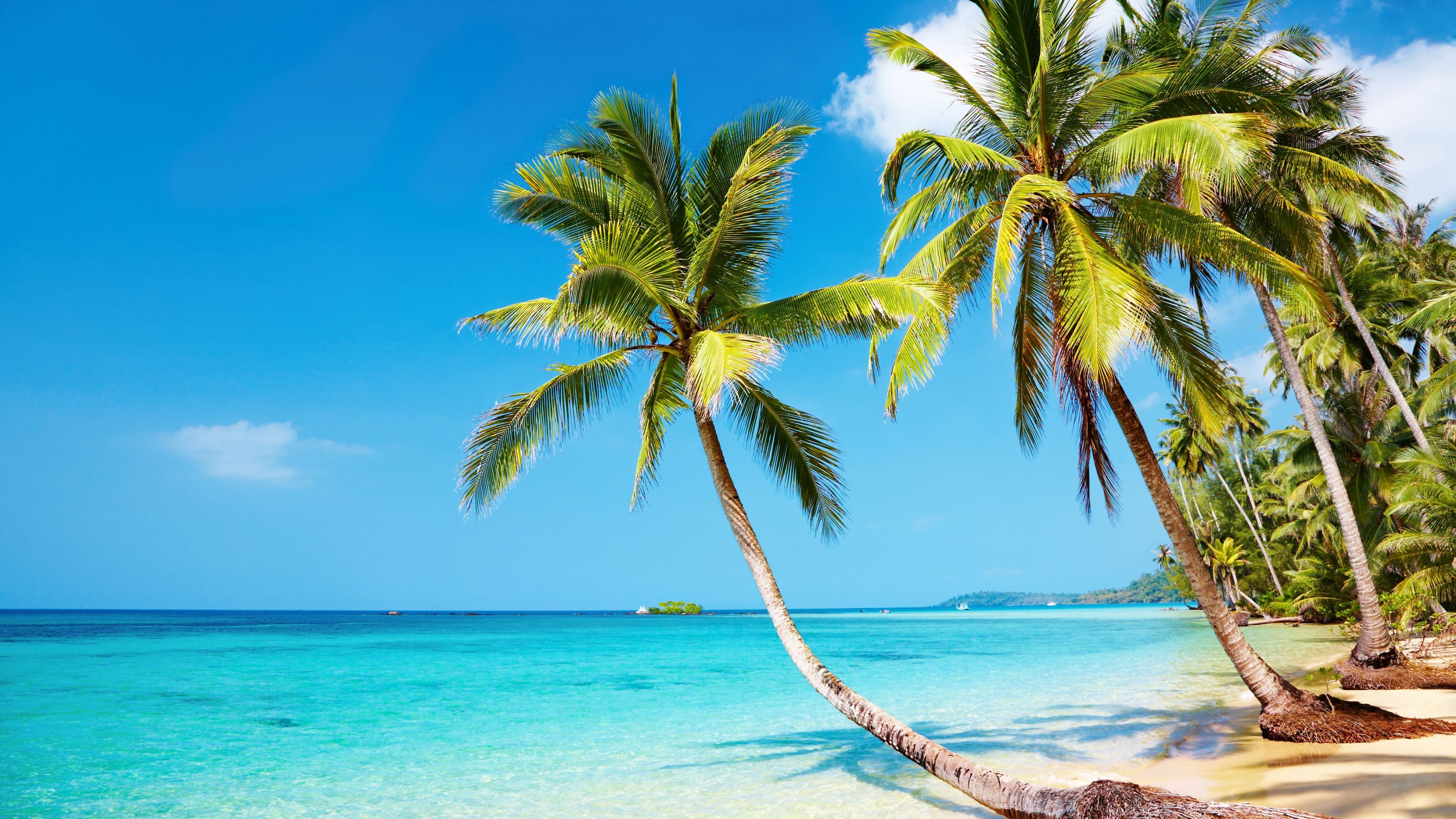 Detail Background Beach Hd Nomer 3