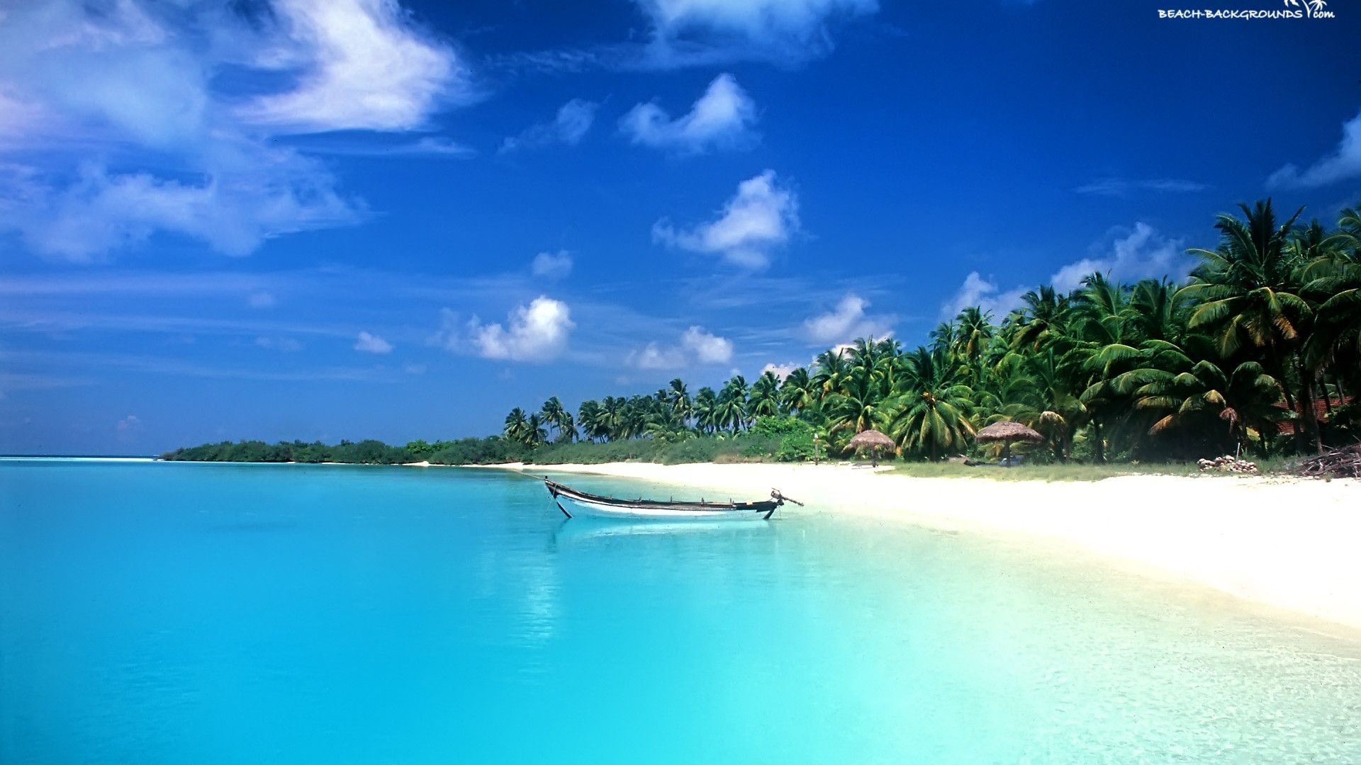Detail Background Beach Hd Nomer 24