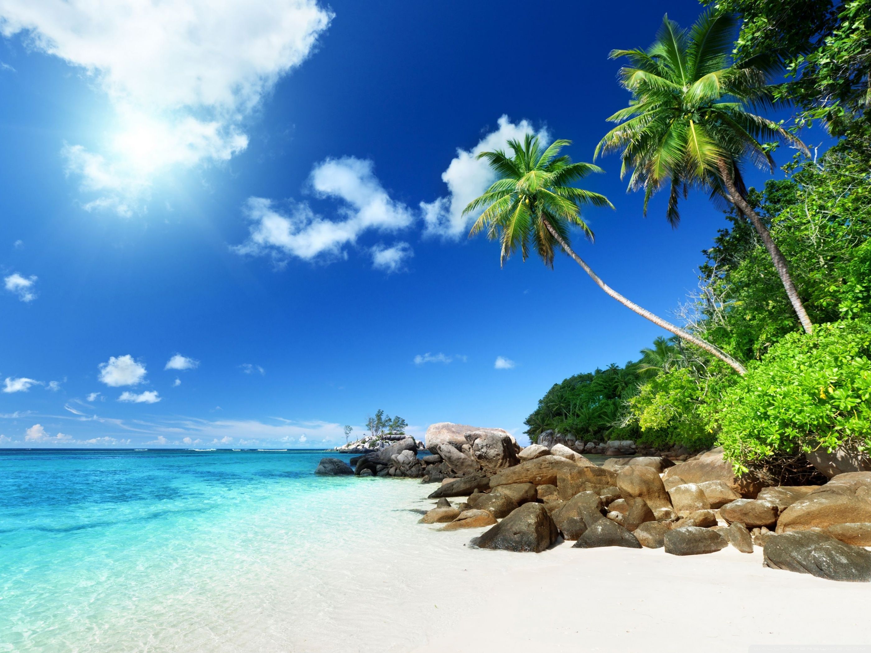 Detail Background Beach Hd Nomer 26
