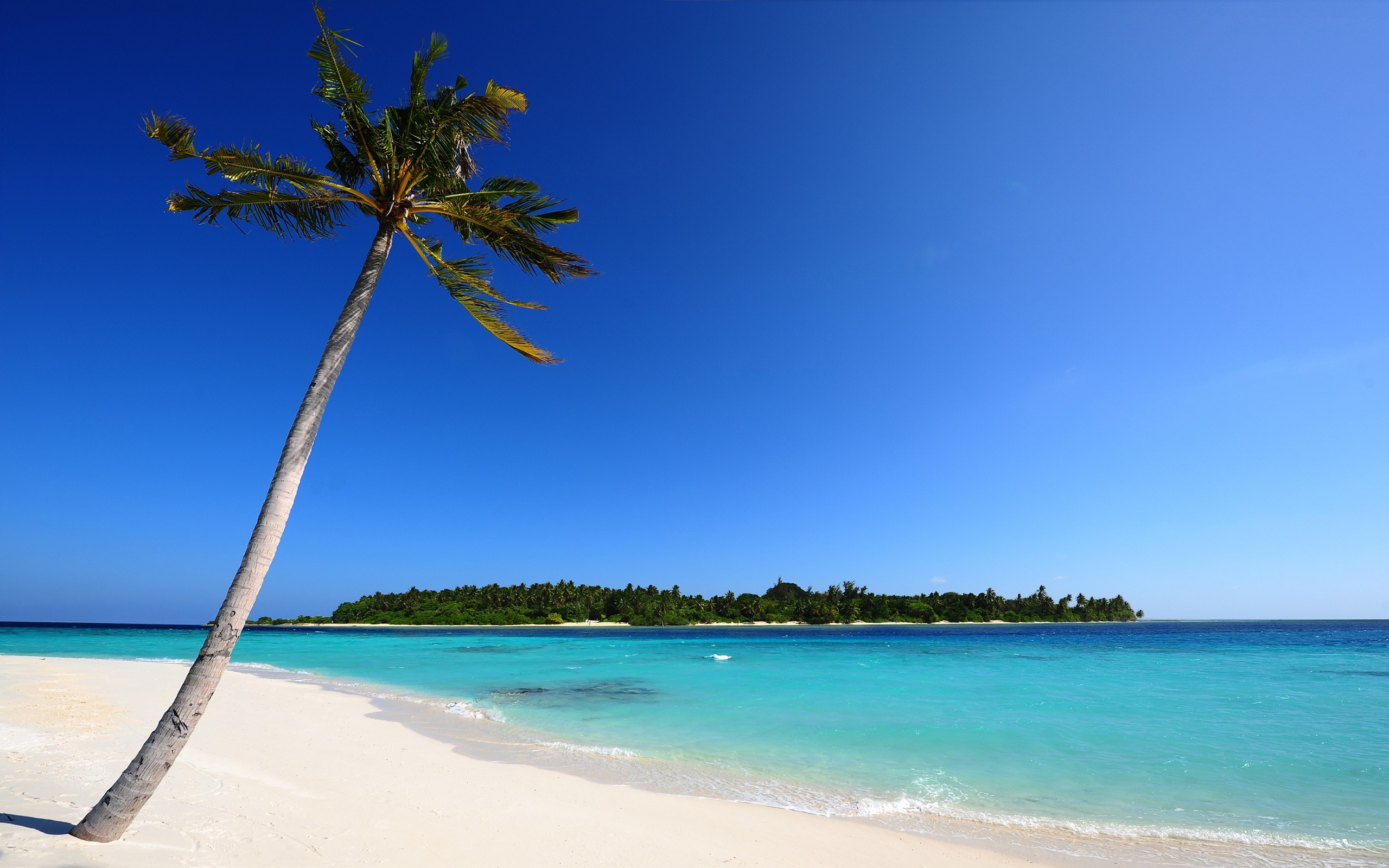 Detail Background Beach Hd Nomer 34