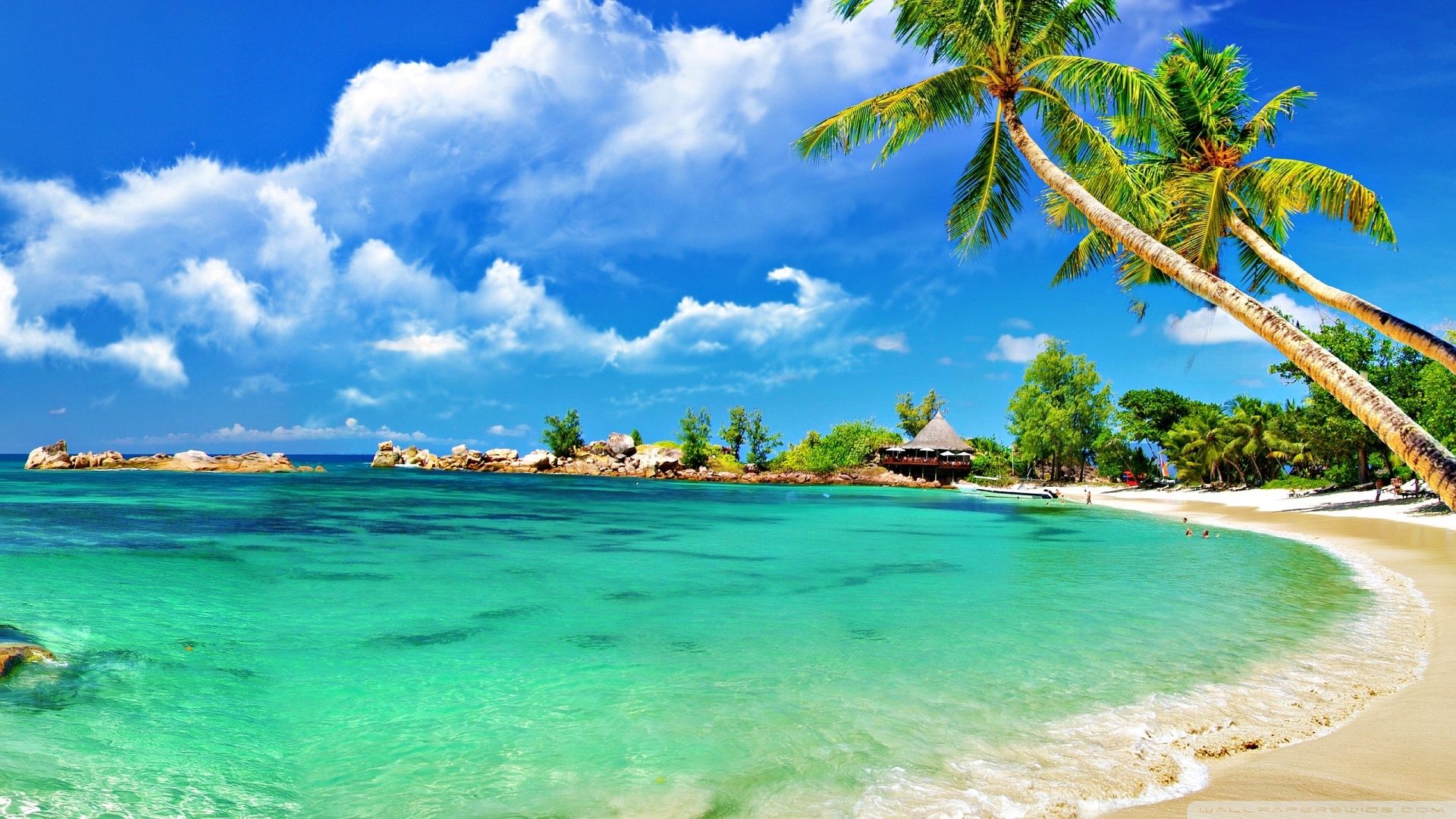 Detail Background Beach Hd Nomer 5