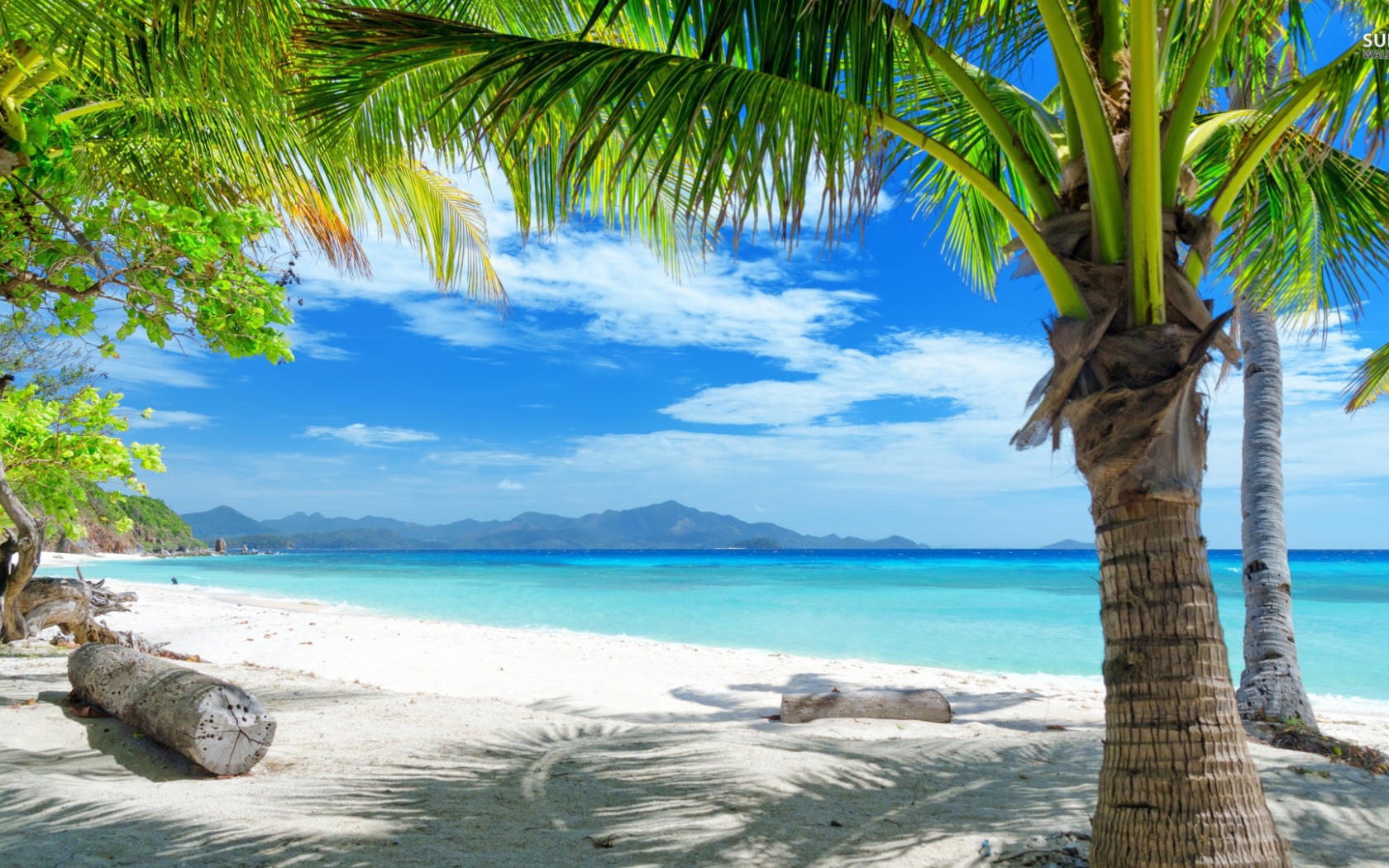 Detail Background Beach Hd Nomer 44