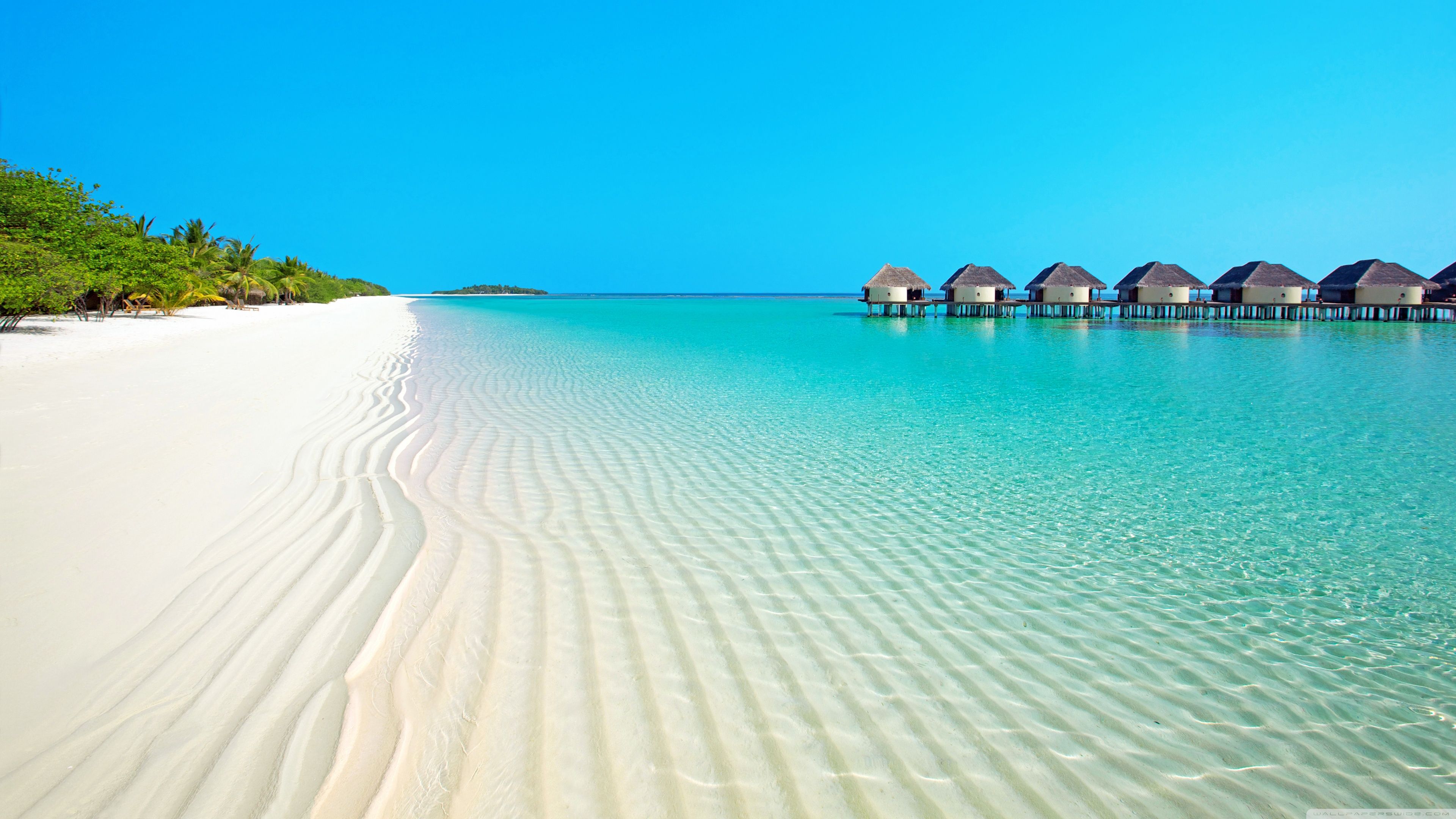 Detail Background Beach Hd Nomer 50