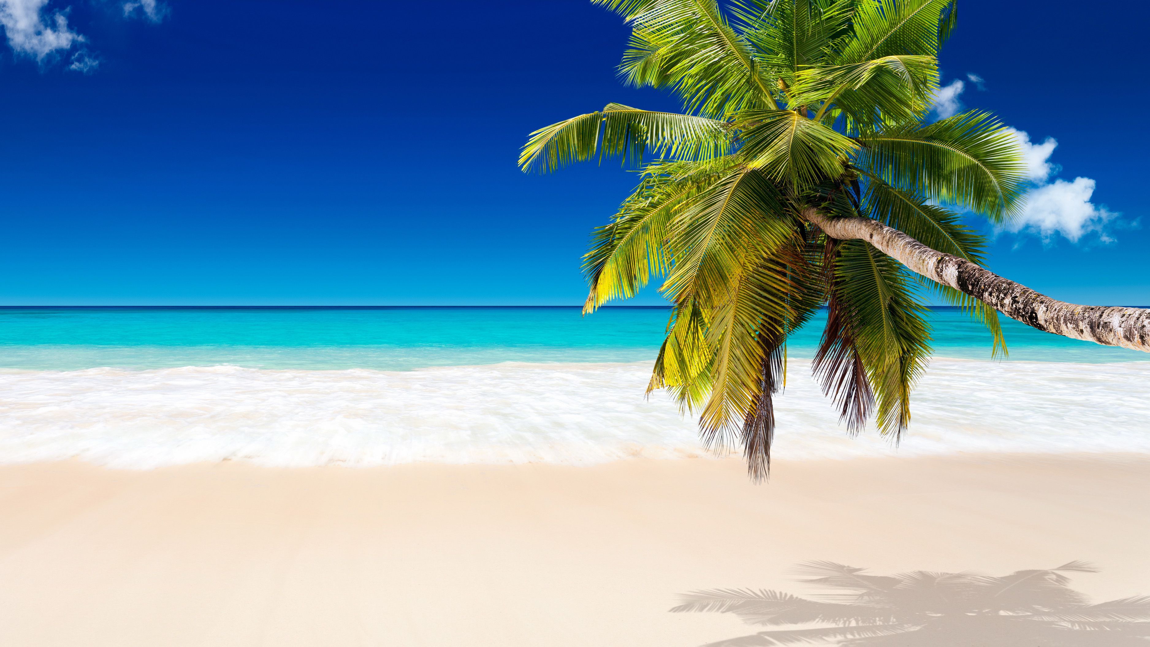 Detail Background Beach Hd Nomer 51