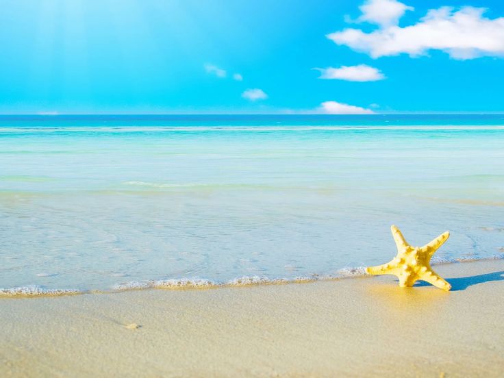 Detail Background Beach Hd Nomer 52