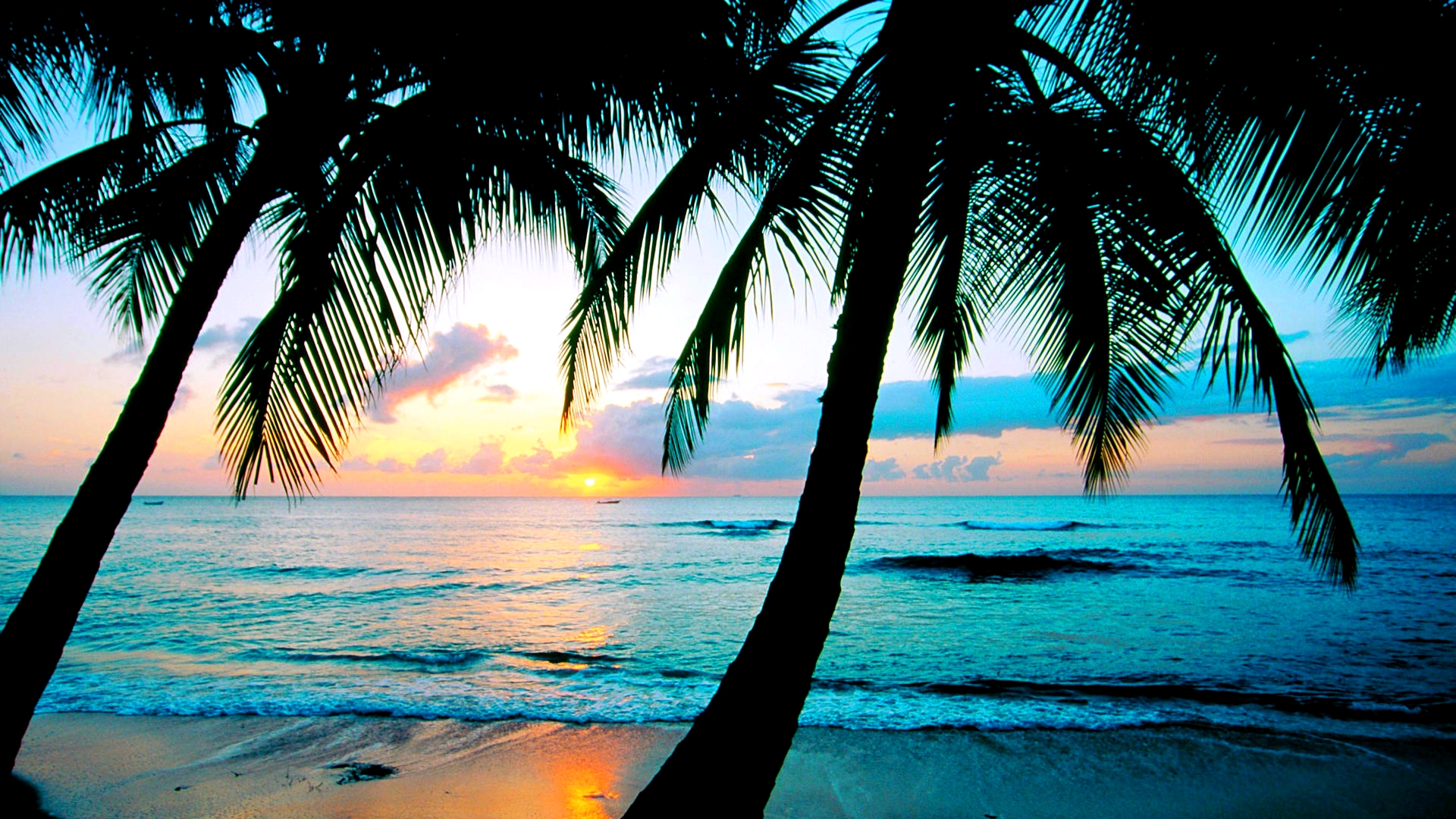 Detail Background Beach Hd Nomer 55