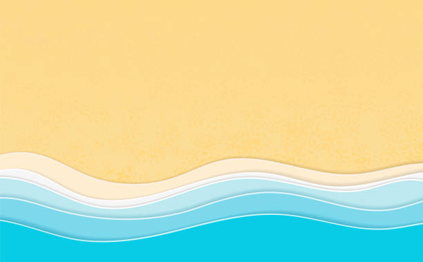 Detail Background Beach Vector Nomer 20