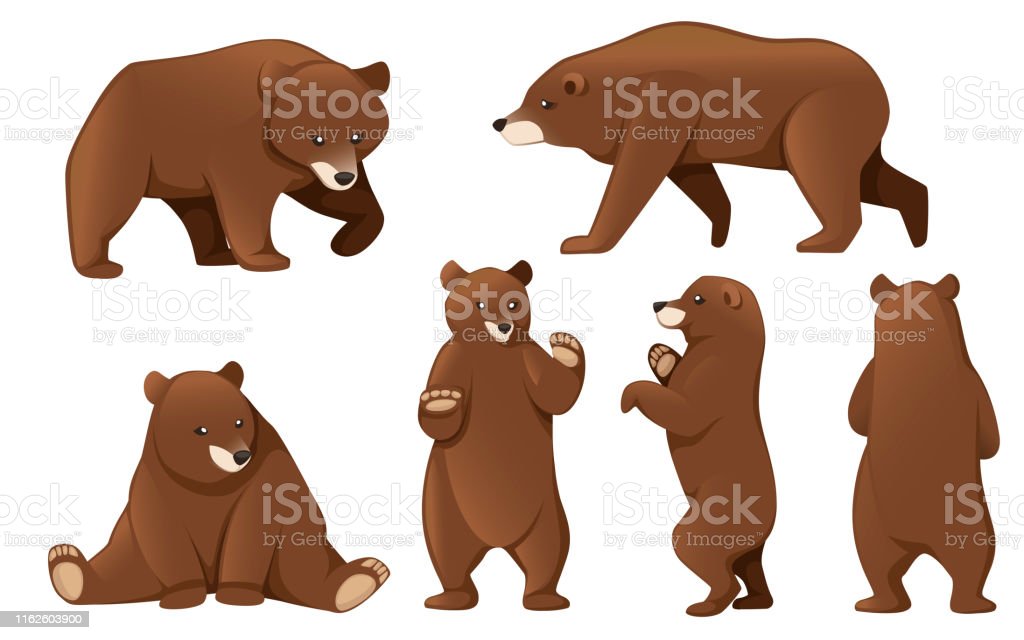 Detail Background Bear Nomer 37