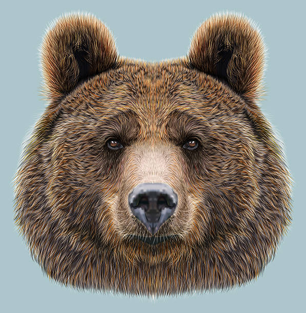 Detail Background Bear Nomer 40