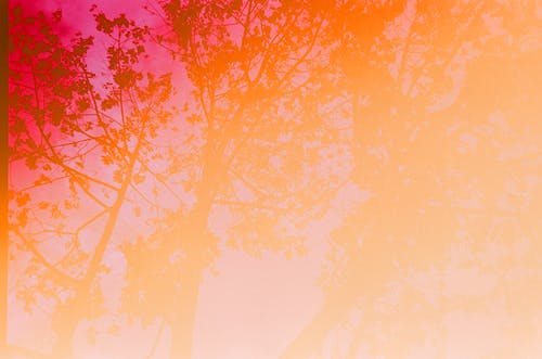 Background Benner - KibrisPDR