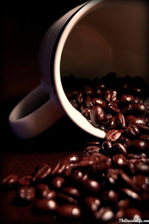 Detail Background Biji Kopi Nomer 20
