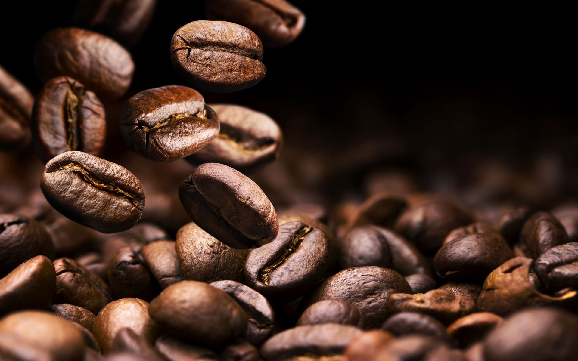 Detail Background Biji Kopi Nomer 24