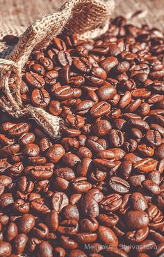 Detail Background Biji Kopi Nomer 40