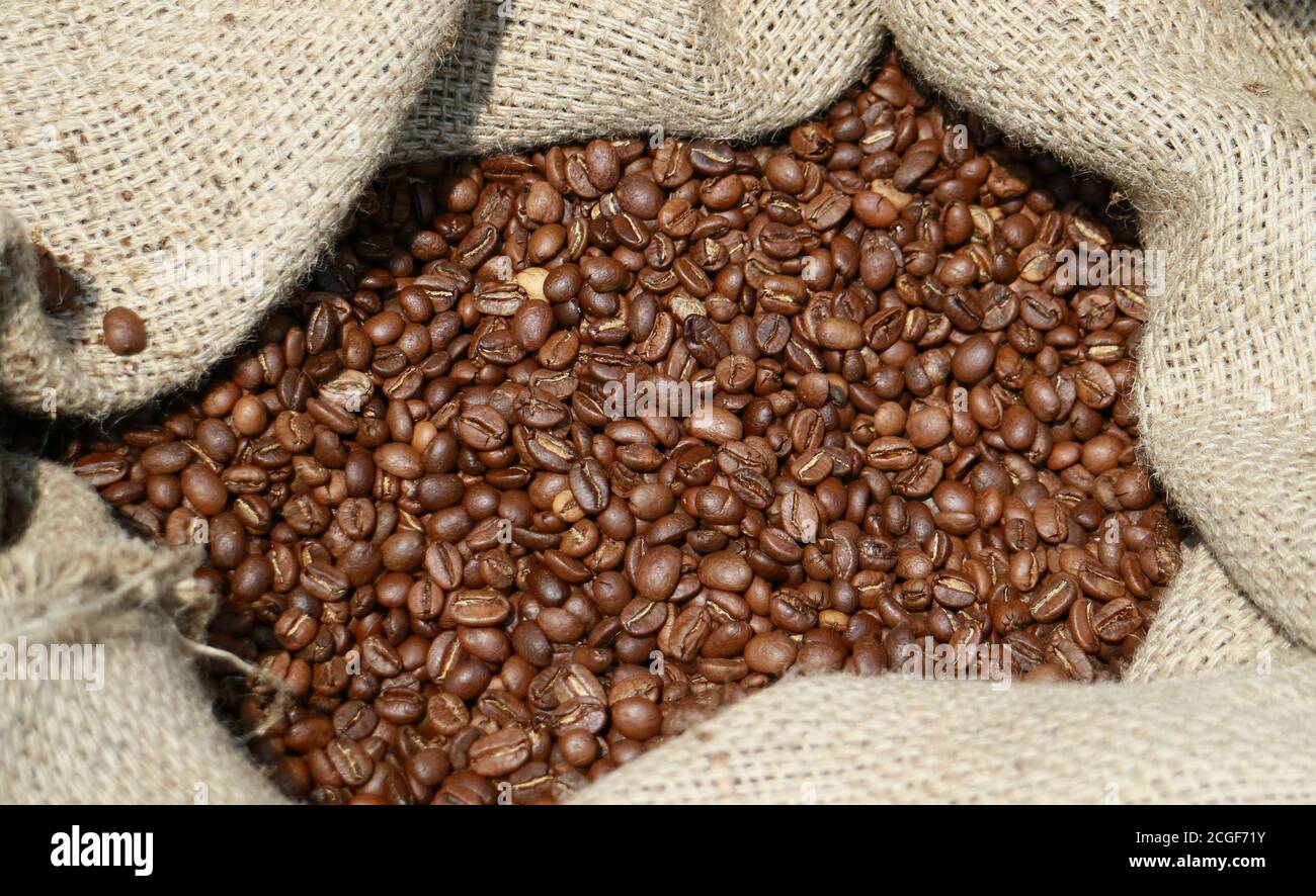 Detail Background Biji Kopi Nomer 48