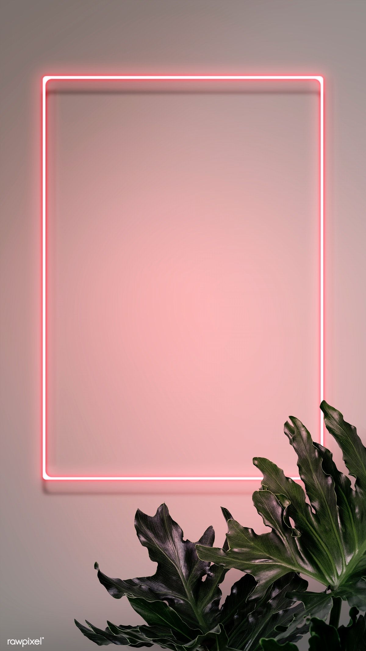 Detail Background Bingkai Aesthetic Nomer 26