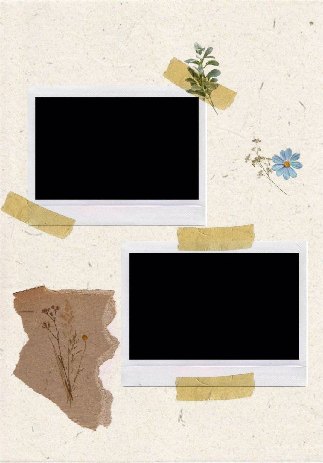 Detail Background Bingkai Aesthetic Nomer 7
