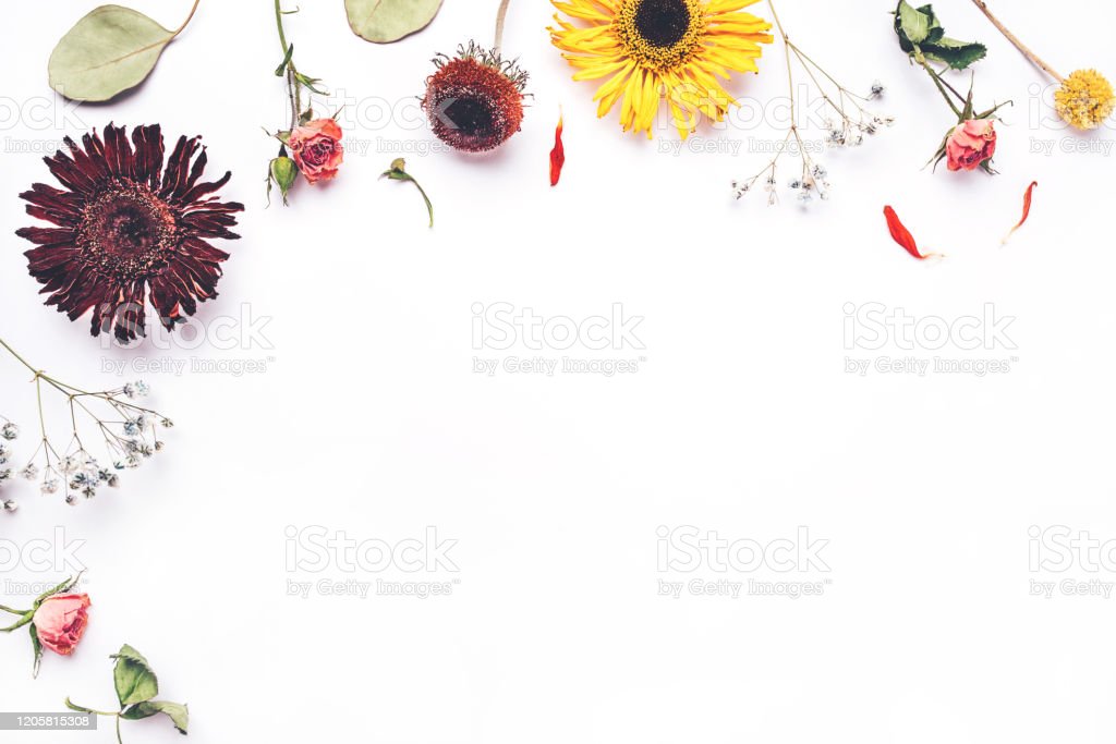 Detail Background Bingkai Bunga Nomer 48