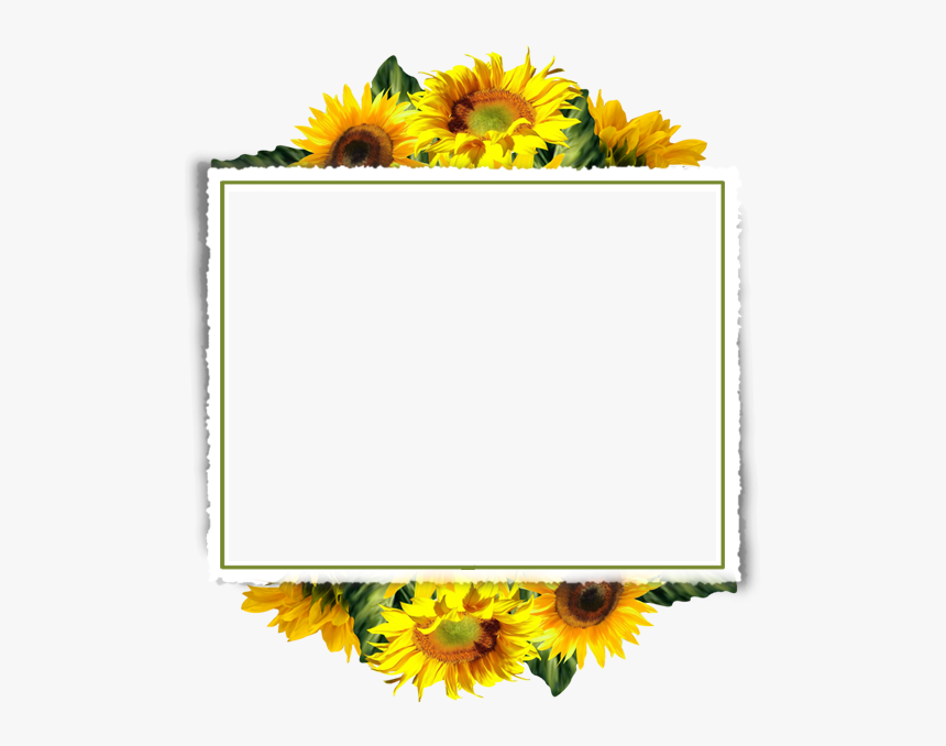 Detail Background Bingkai Hd Nomer 56